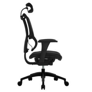 10029-2 כולל ראשיה